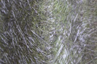 Camberley fibreglass roof work